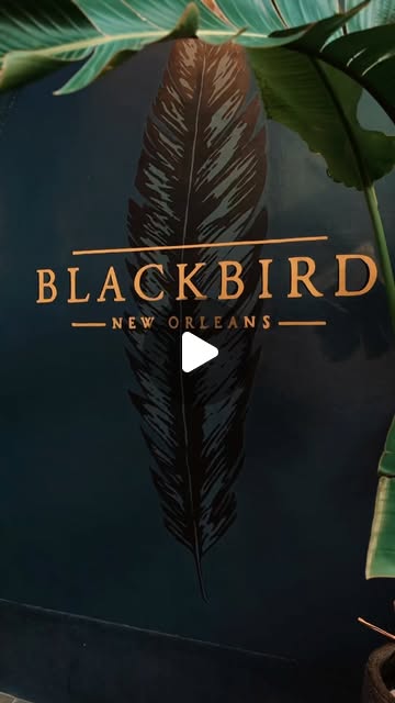 Blackbird Hotel — cinematic film frame from New Orleans